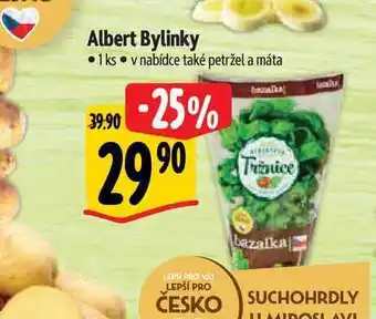 Albert Albert Bylinky 1 ks nabídka