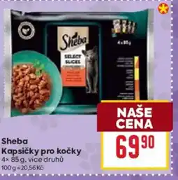 Billa Sheba Kapsičky pro kočky nabídka