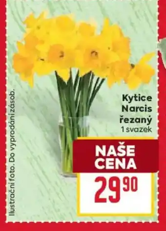 Billa Kytice Narcis řezaný nabídka