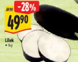 Albert Lilek nabídka