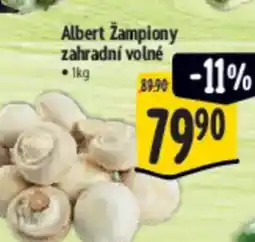 Albert Albert žampiony zahradní volné nabídka