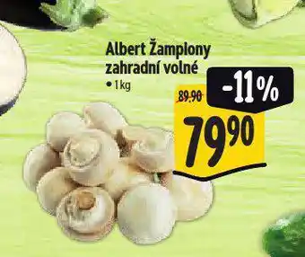 Albert Žampiony zahradní nabídka