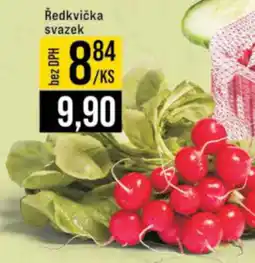 Jip Ředkvička svazek nabídka