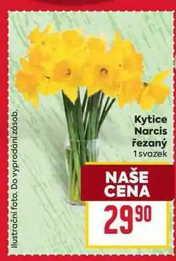 Billa Kytice Narcis řezaný 1 svazek nabídka