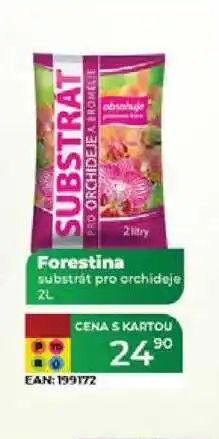 Tamda Foods Forestina 2 litry substrát pro orchideje 2L nabídka