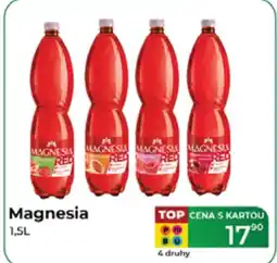 Tamda Foods MAGNESIA nabídka