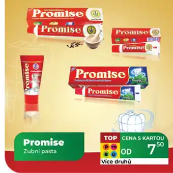 Tamda Foods Promise Zubní pasta nabídka