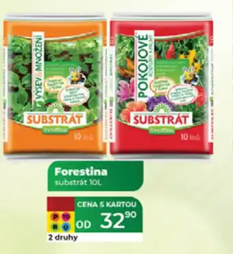 Tamda Foods Forestina substrát nabídka