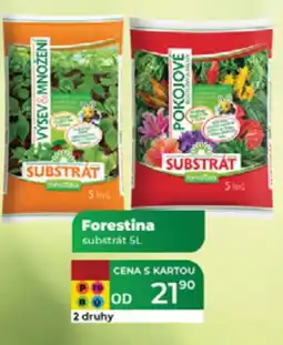 Tamda Foods Forestina substrát nabídka