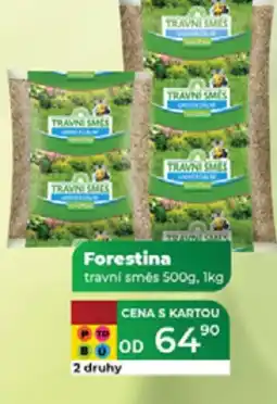 Tamda Foods Forestina travní směs nabídka