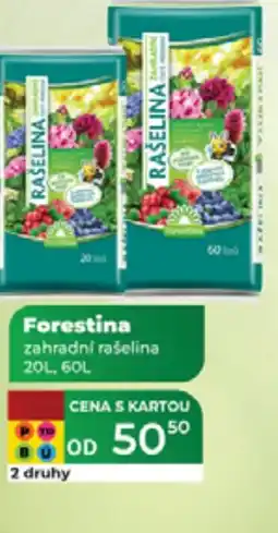 Tamda Foods Forestina zahradni rašelina nabídka