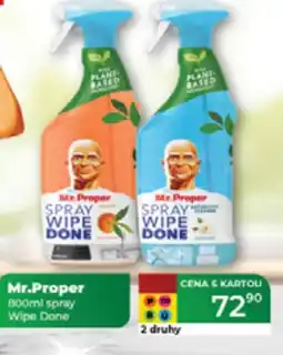 Tamda Foods Mr. Proper spray Wipe Done nabídka