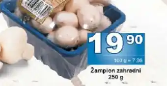 Jip Zampion zahradni nabídka