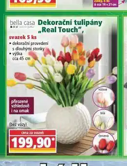 Norma Dekorační tulipány nabídka