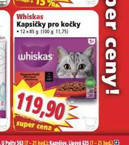 Norma Whiskas kapsičky pro kočky nabídka