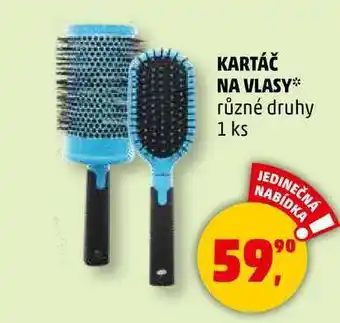 Penny Market KARTÁČ NA VLASY různé druhy, 1 ks nabídka