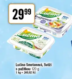 TEMPO Lučina Smetanová, Svěží s pažitkou nabídka