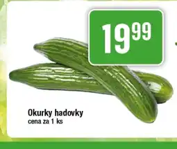 TEMPO Okurky hadovky nabídka