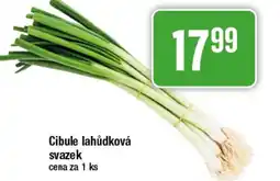 TEMPO Cibule lahůdková svazek nabídka