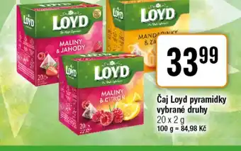 TEMPO Čaj Loyd pyramidky nabídka