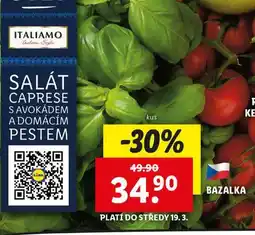 Lidl Bazalka nabídka