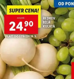 Lidl Ředkev bílá kulatá nabídka