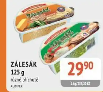 Coop hb Zálesák nabídka