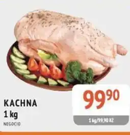 Coop hb Kachna nabídka