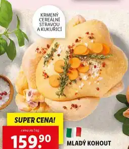 Lidl Mladý kohout nabídka