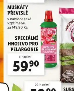 Lidl Speciální hnojivo pro pelargonie nabídka