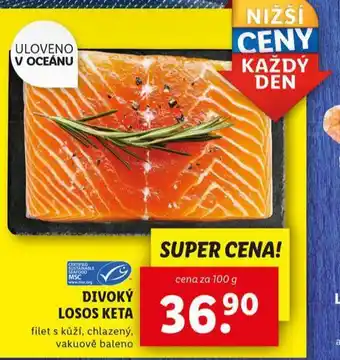 Lidl Divoký losos keta nabídka