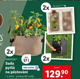 Lidl Sada pytlů na pěstování nabídka