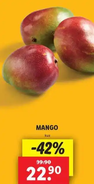 Lidl Mango nabídka