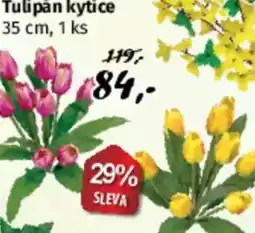 PRIOR Tulipán kytice nabídka