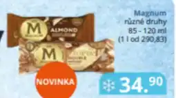 Potraviny CZ MAGNUM nabídka