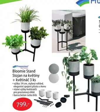 Fortel Bloomie Stand Stojan na květiny + květináč nabídka