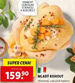 Lidl MLADÝ KOHOUT, cena za 1 kg nabídka