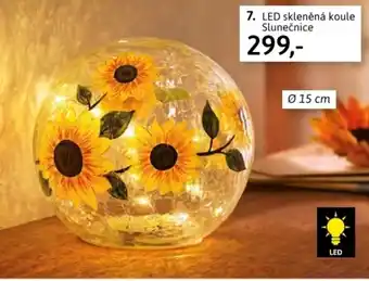 Velký Košík Led skleněná koule nabídka