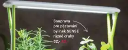 Tescoma Pěstírna bylinek sense, s led osvětlením nabídka