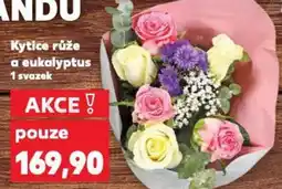 Kaufland Kytice růže a eukalyptus nabídka