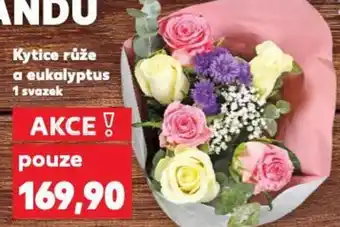 Kaufland Kytice růže a eukalyptus nabídka