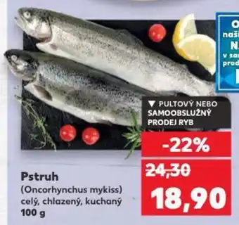 Kaufland Pstruh nabídka