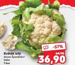 Kaufland Květák bílý nabídka