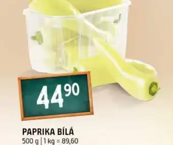 Terno Paprika bílá nabídka