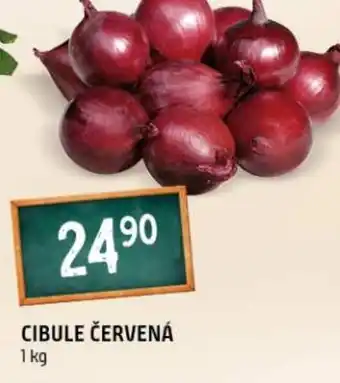 Terno Cibule červená nabídka