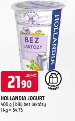 Terno Hollandia jogurt nabídka