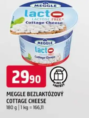 Terno Meggle bezlaktózový cottage cheese nabídka