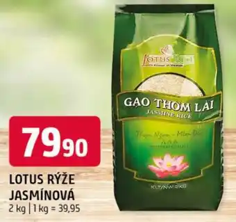 Terno Lotus rýže jasmínová nabídka