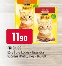 Terno PURINA Friskies nabídka