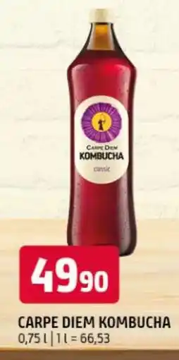 Terno Carpe diem kombucha nabídka